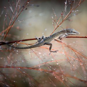 Meet your Posher, Kaylynn